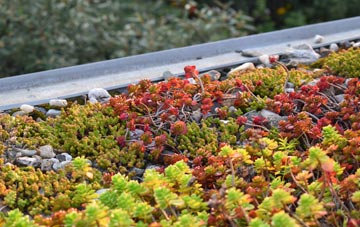 the cost of Albyfield green roof installation