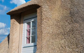 Albyfield thatch roof disadvantages
