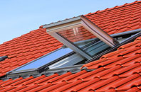 Albyfield roof window